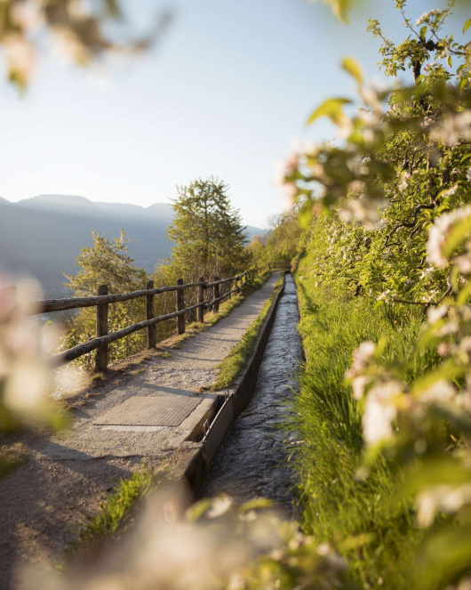 Merano feelings of happiness