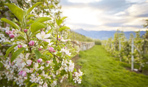 Events & Highlights im Frühling 2017