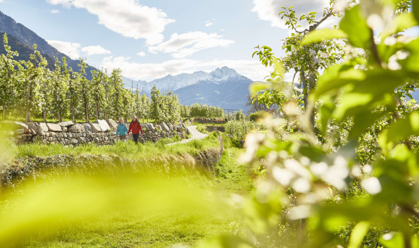 A spring of pure happiness in Merano