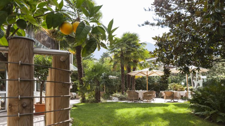 Terrazza