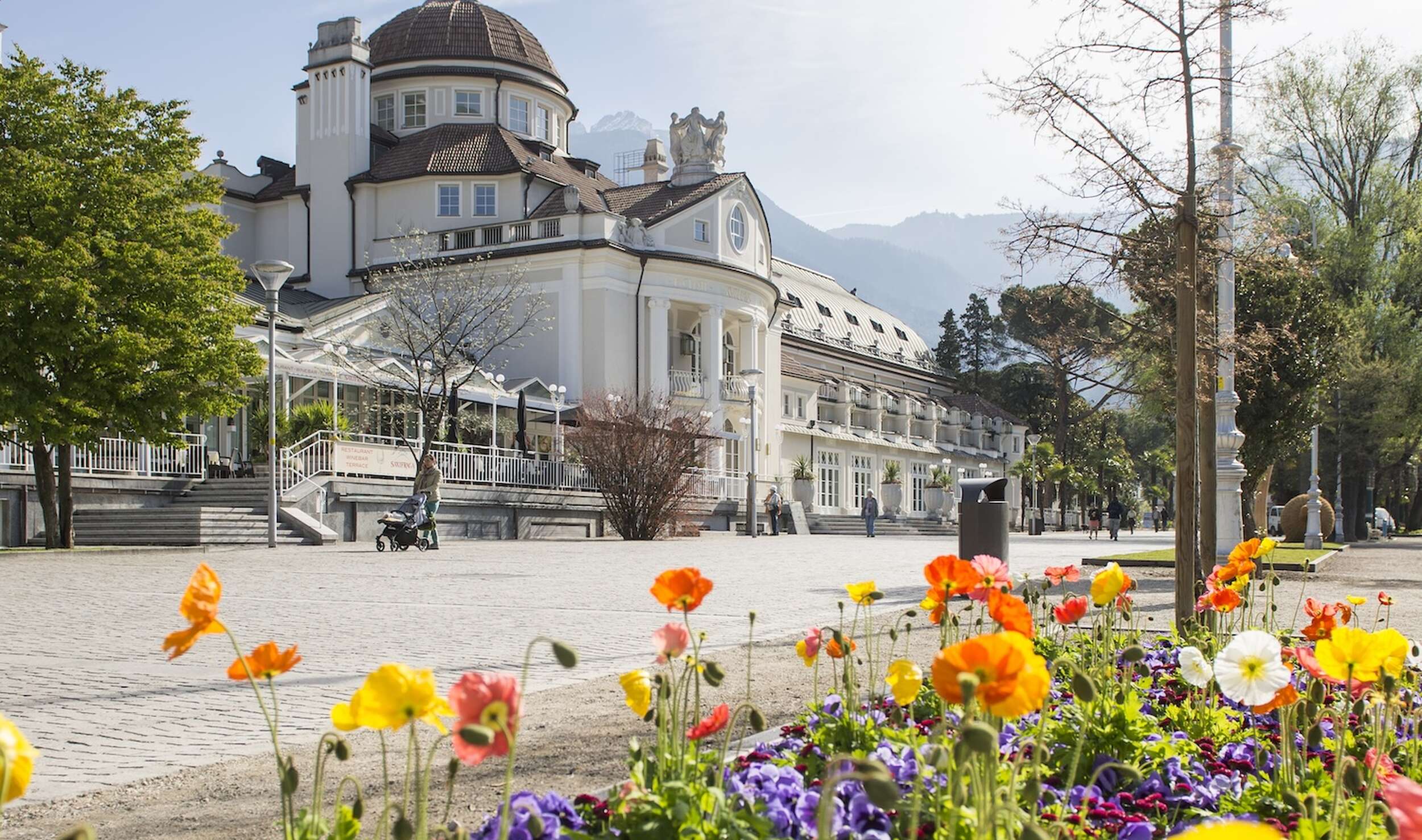  Speciale per la festa della mamma