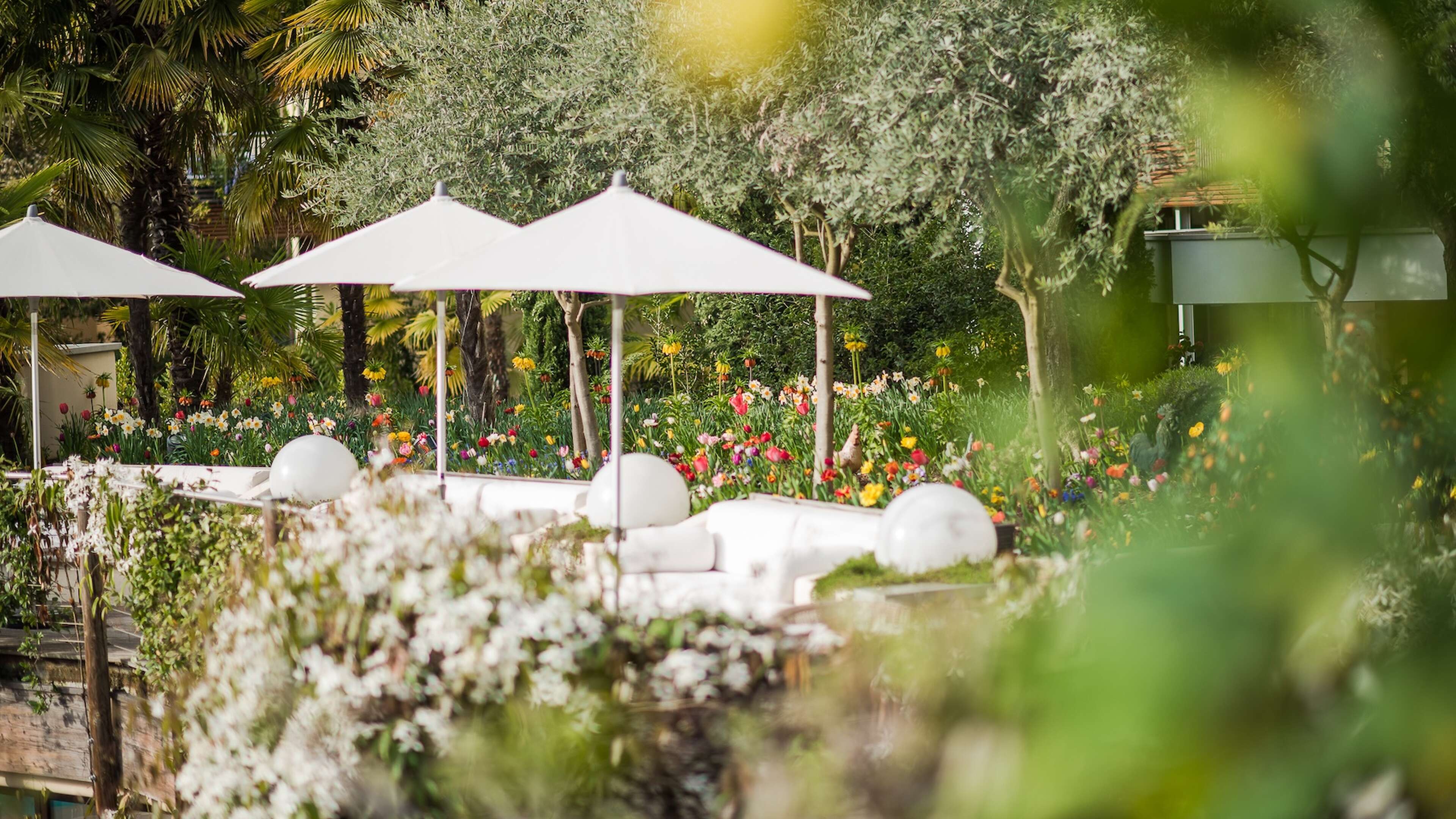 Park Hotel Mignon